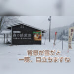 【こんな場所に】珈房高瀬の森焙煎所【コーヒー豆屋さん】