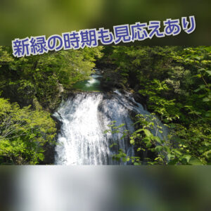 【東根市】大滝ドライブインの滝を眺めて『山ベーグル』でお買い物