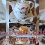 『Tea Room Annie's』の紅茶とスコーンは絶品&かわいいコーギーがお出迎え