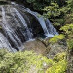 お久しぶりです!🤣🤣🤣