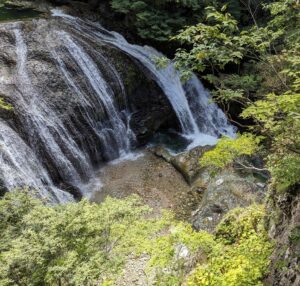 お久しぶりです!🤣🤣🤣